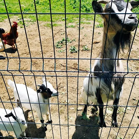 Equipe Апартаменты *