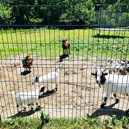 Equipe דירה Olliergues